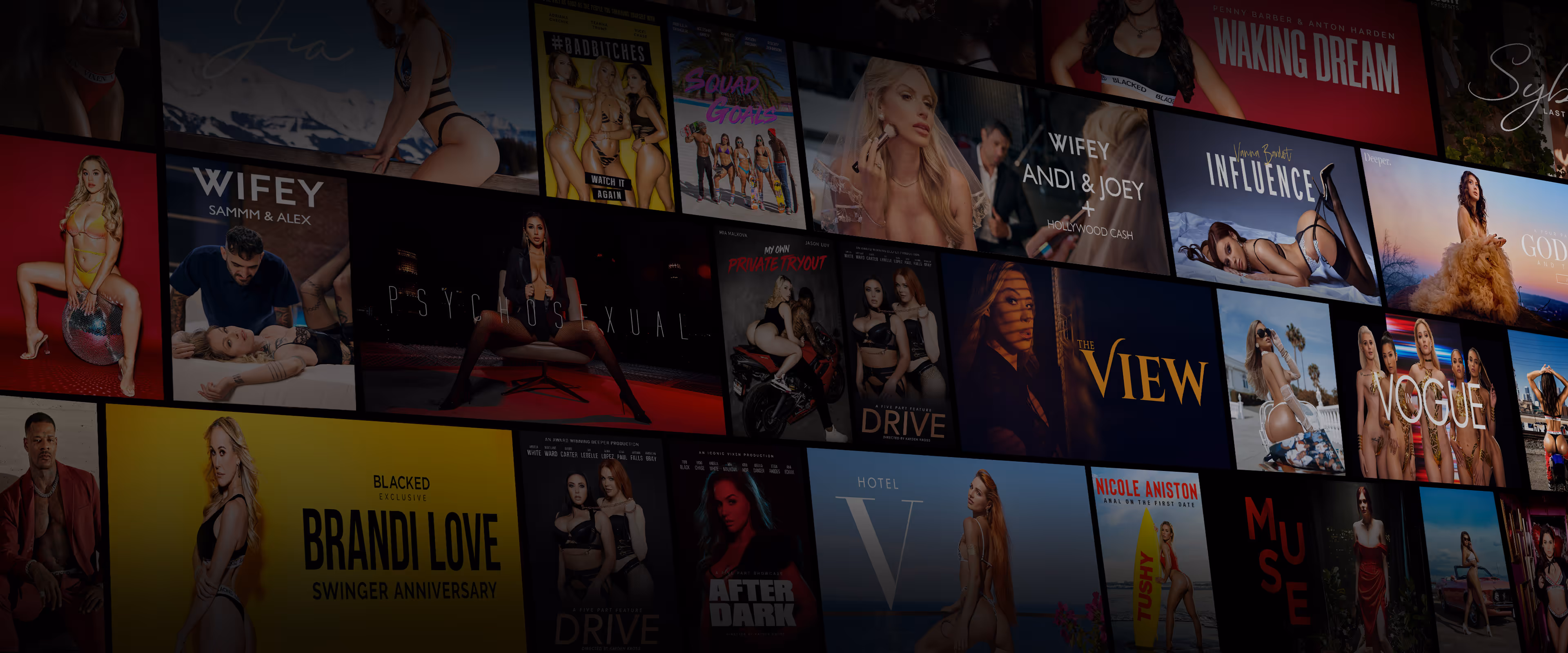 All subscriptions you need on Vixen Plus